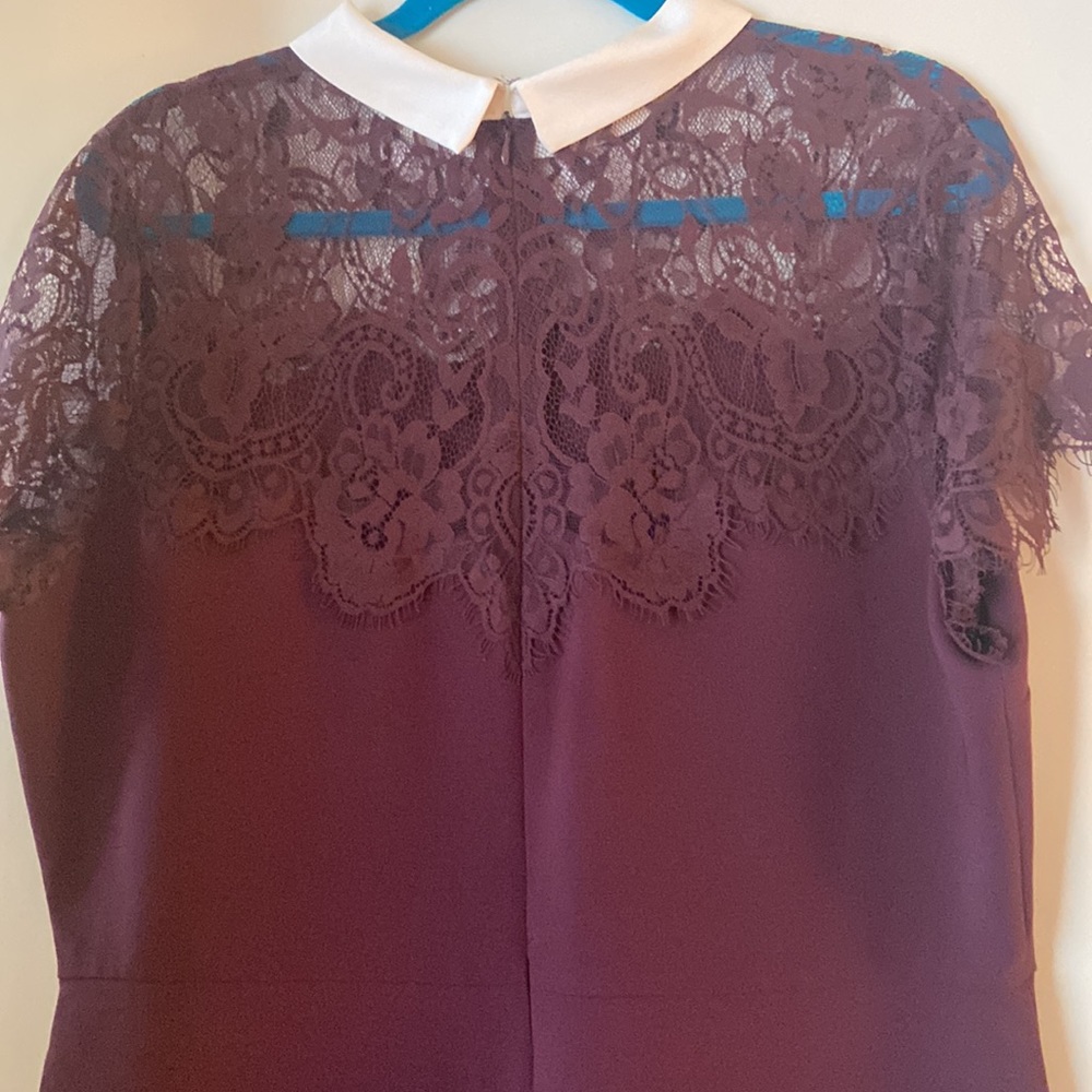 Plum/Burgundy Fit and Flare Peter Pan Collar dress - XL - Picture 4 of 4